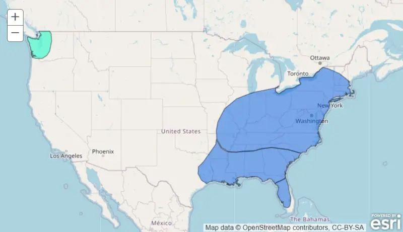 Lednové shrnutí toho nejpodstatnějšího ve světě těžby kryptoměn