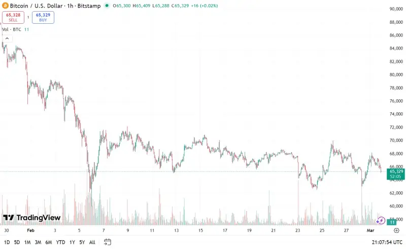 Únorové novinky z těžby kryptoměn: to podstatné na jednom místě